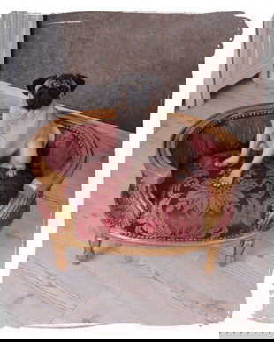 Canapea pentru caine din lemn masiv auriu cu tapiterie rosie