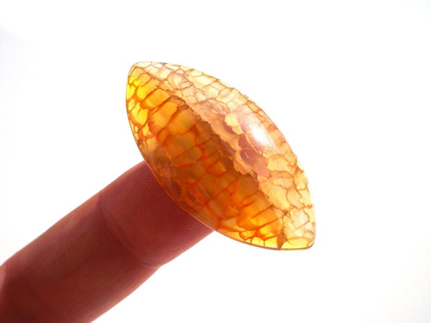 Cabochon agat