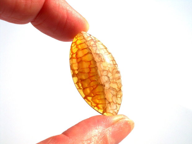 Cabochon agat