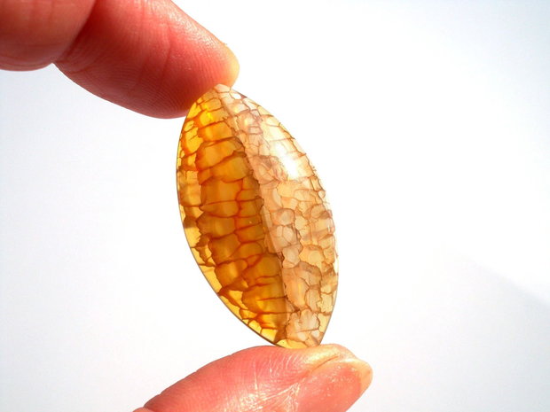 Cabochon agat