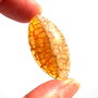 Cabochon agat