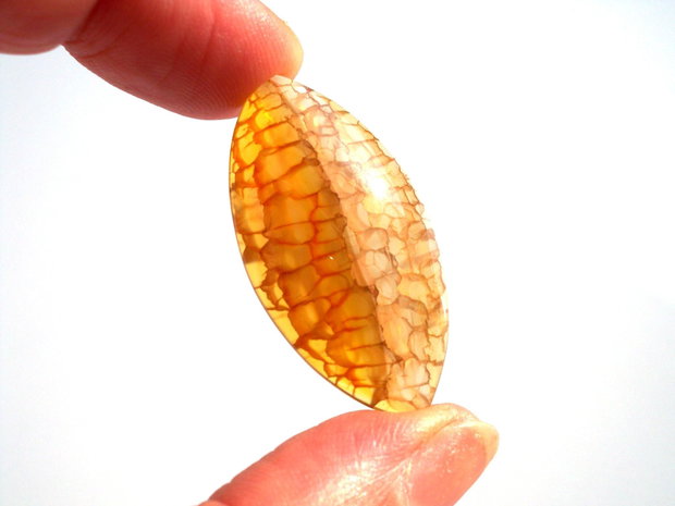 Cabochon agat