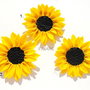 Floarea Soarelui - brose