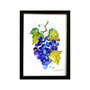 Grapes - Pictura Originala in acuarela - Nature & Colors Collection