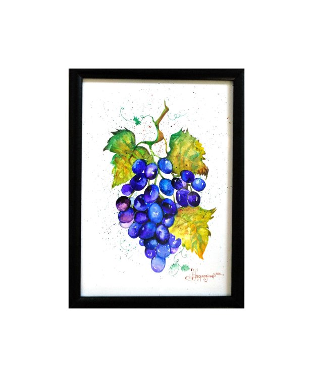 Grapes - Pictura Originala in acuarela - Nature & Colors Collection