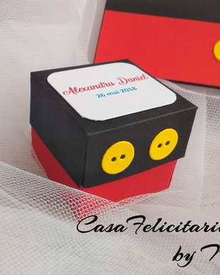 Cutie marturii botez Mickey Mouse