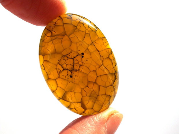 Cabochon agat