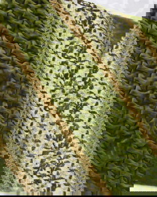 rez.husa perna vintage