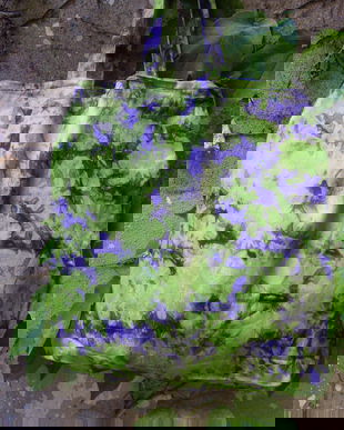 Sacosa panza tie dye