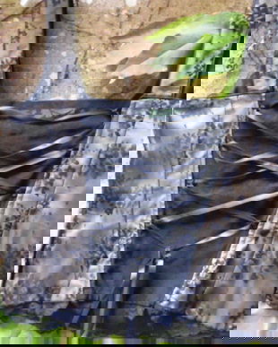 Corsaj cu dantela  L/XL