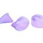 Margele din acril, frosted, floare, 25x18x17 mm, mov
