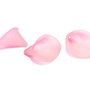 Margele din acril, frosted, floare, 25x18x17 mm, roz