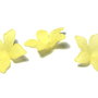 Margele din acril, frosted, floare, 29x27 mm, galbene