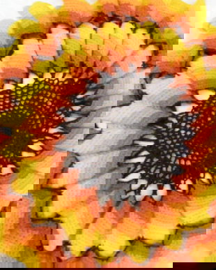 Husa perna crosetata