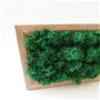 Tablou licheni, rama foto licheni, tablou verde, decor licheni