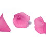 Margele din acril, frosted, floare, 20x20 mm, siclam