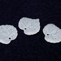 Pandantiv din acril, frosted, frunza, 16x15 mm, albe