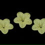 Margele din acril, frosted, floare, 18x5 mm, galbene