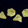 Margele din acril, frosted, floare, 10x10 mm, galbene
