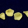 Margele din acril, frosted, floare, 12x12 mm, galbene