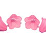 Margele din acril, frosted, floare, 14x10 mm, roz