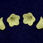 Margele din acril, frosted, floare, 14x10 mm, galbene