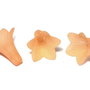 Margele din acril, frosted, floare, 22x22 mm, portocalii