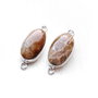 Set link-uri coral fosil