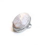 Link coral fosil