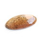 Cabochon coral fosil - L98