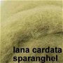 cardata - sparanghel-25g