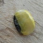 Cabochon bumble bee jasper, 29x22