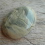 Cabochon silver leaf jasper, 40x30 mm