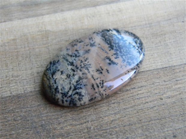 Caboson opal dendritic (C34)