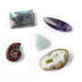 Mix 5 cabochoane - Amonit,  Ametist,  Amazonit, Labradorit, Madagascar druzy
