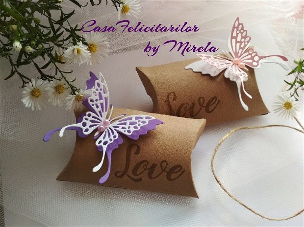 Cutie craft cu fluture