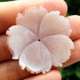 Pandant sculptat pink flower shell