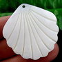 Pandant shell