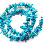 Lchips 34 - chips coral tepi