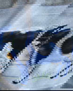 Sortulet comic cu broderie