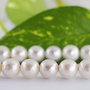 Perle seashell 10mm (1)