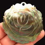 Pandant abalone shell sculpatat
