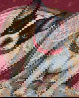 rez.Bihor Husa perna cu catelus