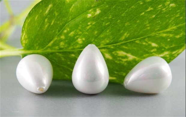 Perle seashell 13x18mm, semigaurite (1)