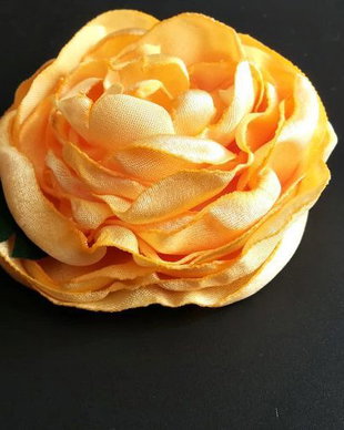 brosa floare de bujor