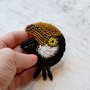 Brosa  Toucan Bird