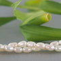 Perle cultura 4-4.5X5-6.5mm, cod ID33 (1)