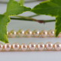 Perle seashell 6mm, cod P01 (1)