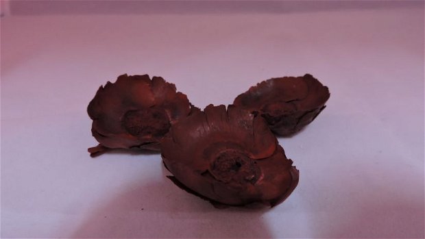 Floare de cocos  rosu 3buc