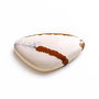 Cabochon  jasper natural - J16